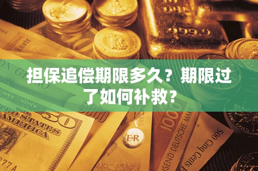 北京担保追偿期限多久？期限过了如何补救？