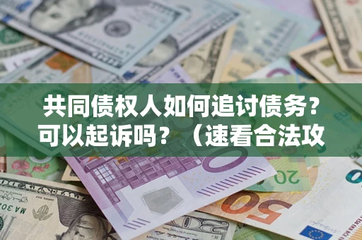 北京共同债权人如何追讨债务？可以起诉吗？（速看合法攻略）